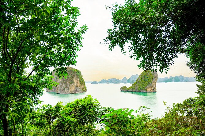 1-Day Bai Tu Long Bay Cruise: Pristine, Fun & Away fr the Crowds - Thien Canh Son Cave steps and kayaking: where you’ll feel the day