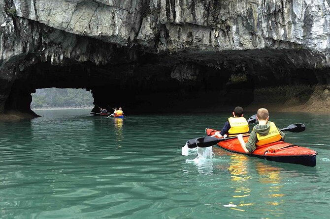 1 Day Tour to Halong Bay Cruise from 3 - 5 star Cruise & Transfer - Lunch on Board: Seafood, Vietnamese Food, and Vegetarian Options