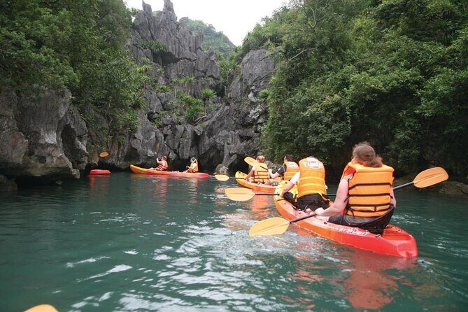 2 Days 1 Night Overnight on Cruise in Halong Bay - Day 1: Check-in, views, and activities that fill the evening