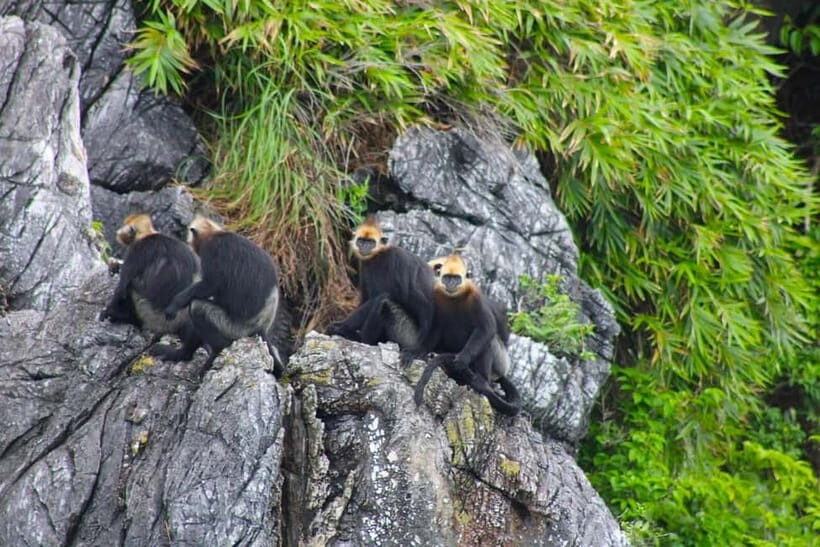 3-Day Discover the most stunning Cat Ba Island - Lan Ha Bay - Day 1 on the Water: Dark and Bright Caves, a Quiet Beach, and Plankton Glow