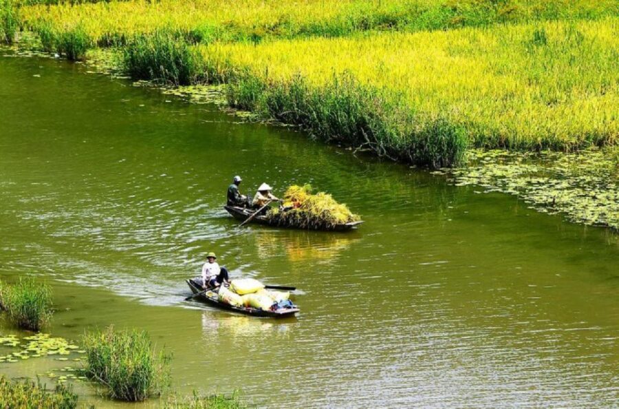3-Day Ninh Binh Bungalow & Ha Long Bay 5 Star Cruise - Day 3: Tai Chi sunrise, Sung Sot Cave, and back to Hanoi