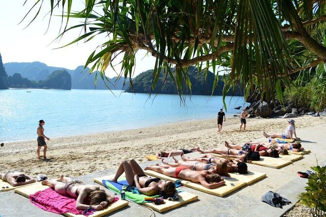 3 Days 2 Nights Oasis Bay Classic Cruise Halong Bay - Day 1 Meals and the Onboard Flow: How It Feels Day-to-Night
