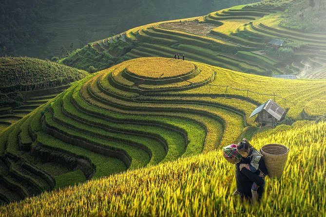 7 Days Package Hanoi- Halong -Sapa-Ninh Binh - Day 6 Ninh Binh: Hoa Lu, Tam Coc bamboo boats, Bich Dong biking, and Mua Caves views
