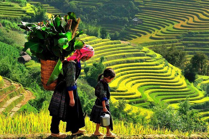 7 Days Vietnam Travel (Hanoi- Ninh Binh - Sapa - Ha Long) - Cat Cat village and Sapa town: culture on foot, time on your own