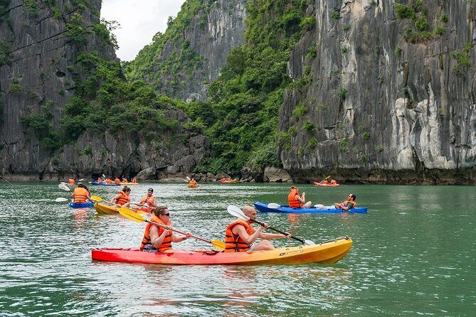 7 Days Vietnam Travel (Hanoi- Ninh Binh - Sapa - Ha Long) - Morning kayaking and Luon Cave area: the calmer Ha Long side