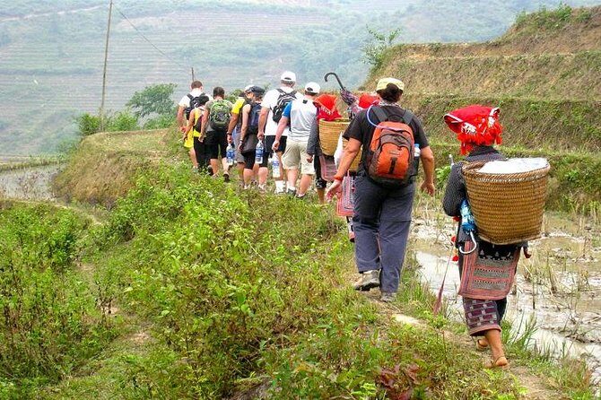 8-Day Discover Northern Vietnam Highlight: Hanoi - Ninh Binh - Sapa - Halong Bay - Day 4 in Sapa: Arrival at Lao Cai, Then Cat Cat and Sin Chai Treks