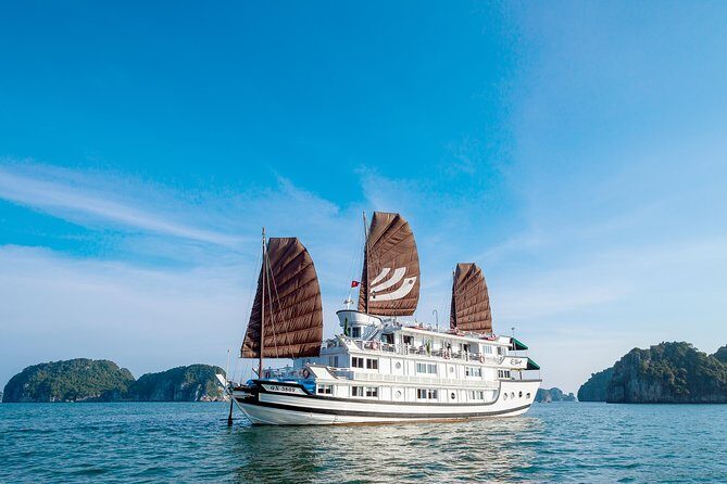 All inclusive Bhaya 2-Day Halong Bay Tour - Food on Board: Fusion Meals, Seafood Vibes, and Real Dietary Handling