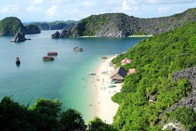 Athena Cruise Halong Bay 3Days 2Night on 5 Star Cruise - Athena Luxury on the Water: Cabins, staff, and day-long comfort