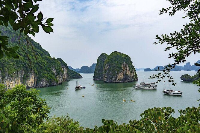Athena Cruise Halong Bay 3Days 2Night on 5 Star Cruise - Caves, Hon Co Island, and Vung Vieng: the parts that make it feel worth 3 days