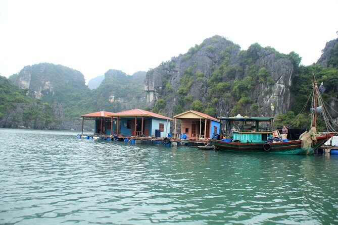 Bai Tu Long bay Boutique Cruise 2D/1N: Kayaking & swimming at pristine places - Photos vs reality: Bai Tu Long’s vibe is quieter than Halong