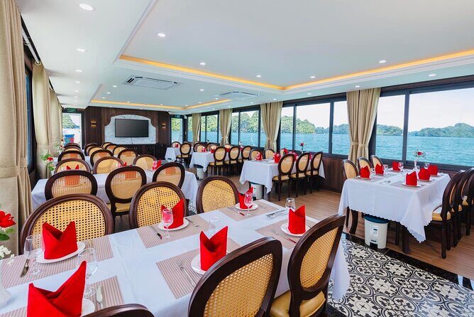 Best Halong Bay Tour One Day On Luxury Cruise 6 Hours Cruising - Ti Top Island (TiTov/Ti Top): viewpoint energy plus a swim break