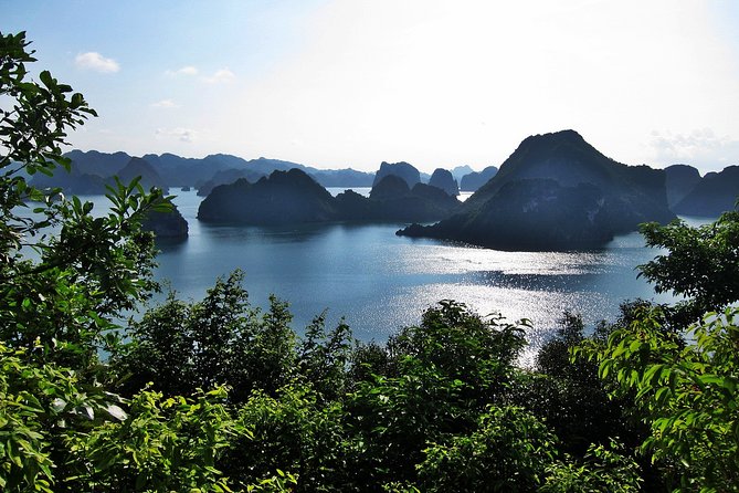 Best seller Halong Bay Cruises - Booking Ahead for a Better Show Night (and Fewer Headaches)