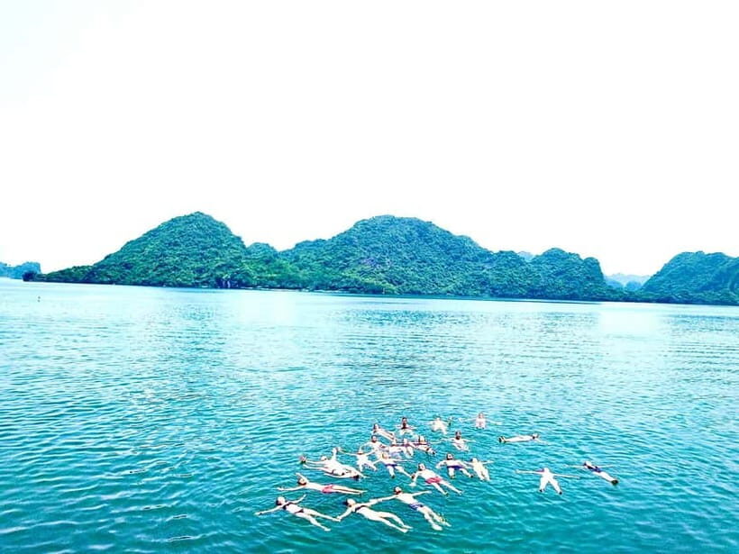 CAT BA :2D1N Lan Ha bay-Ha Long bay with Plankton Excursion - Key highlights that make this trip worth your time