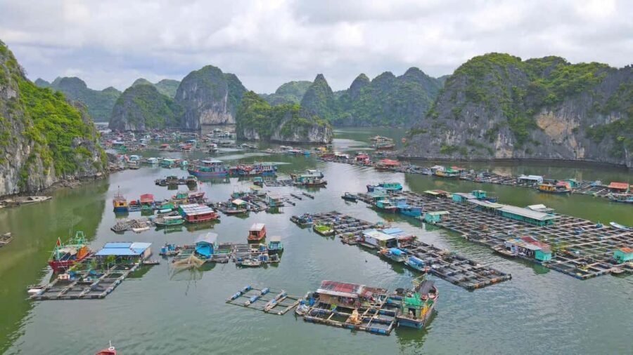 Cat Ba/Ha Noi: Lan Ha and Monkey Island Full Day Boat Trip - Guides and crew: why the day stays smooth