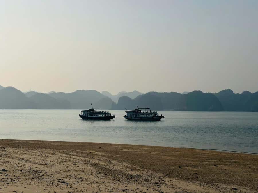 Cat Ba: Night Kayaking with Glowing Plankton - Cai Beo Floating Village: Quick Views With Strong Local Flavor
