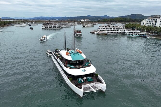 Catamaran Premium Cruise to Halong Bay & Lan Ha Bay in 1 Day Tour - Key things I’d zero in on before you go