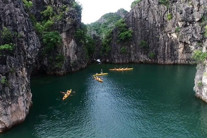 Catamaran Premium Cruise to Halong Bay & Lan Ha Bay in 1 Day Tour - Food on board: lunch you’ll be glad you planned around