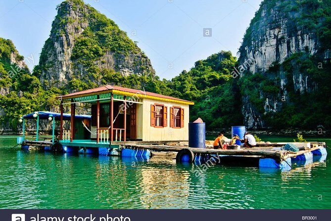 Deluxe Halong Bay 6 Hours Cruise To Visit Surprising Cave And Titop Island - Value Check: Is $65 Worth It for This Amount of Doing?