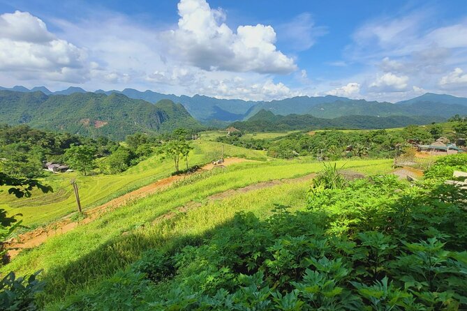 Explore Rice Terrace Pu Luong Ninh Binh Ha Long 4 Days 3 Night - Price and what you get for $490 per person