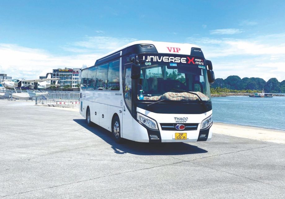 From Ha Noi - Fullday Trip Ha Long Bay - Who This Tour Suits Best (and Who Should Skip It)