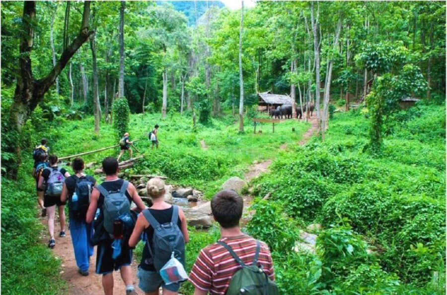 From Hanoi: 2-Day Ha Long Bay Tour with Ninh Binh and Cruise - From Hanoi: why this 2-day Ha Long and Ninh Binh combo works