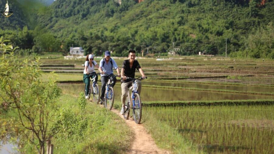 From Hanoi: 2-Day Ninh Binh Tour with Ha Long Bay Cruise - Day 2 to Ha Long Bay: Tuan Chau to Sung Sot Cave