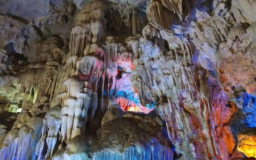 From Hanoi: Private Ha Long Bay Full-day Trip - From Hanoi to Halong: National Expressway and Real Rice-Delta Views