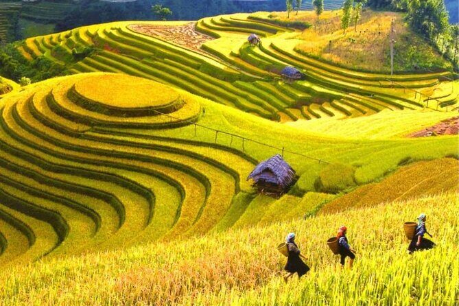 From Hanoi : Sapa Moutain Trek - Halong bay Heritage - Food and Lodging: What’s Included (and What You’ll Need to Budget)