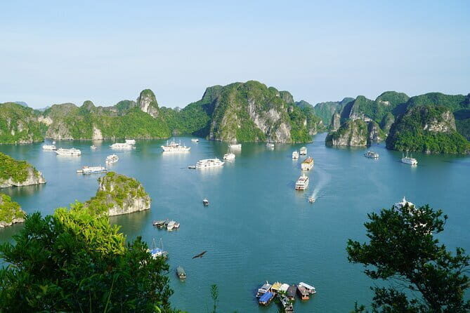 Ha Long Bay 1 Day Joined Luxury Tour - Boarding at Tuan Chau Island: A Calm Start (Not a Scatter)