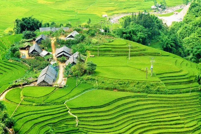 Ha Long Bay 2 Days 1 Night Indochina Premium Cruise - Day 2: Tai Chi on deck and your Titov Island choice
