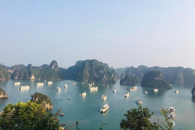 Ha Long Bay Cruise Day Tour-best selling: Included transportation - Key points (quick, useful)