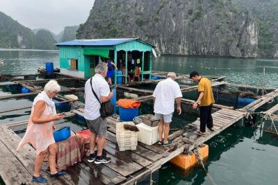 Ha noi: 3D- Halong, Lan ha bay classic cruise, Ninh Binh full day - Ha Long Venezia on Lan Ha Bay: what a 10-cabin cruise changes