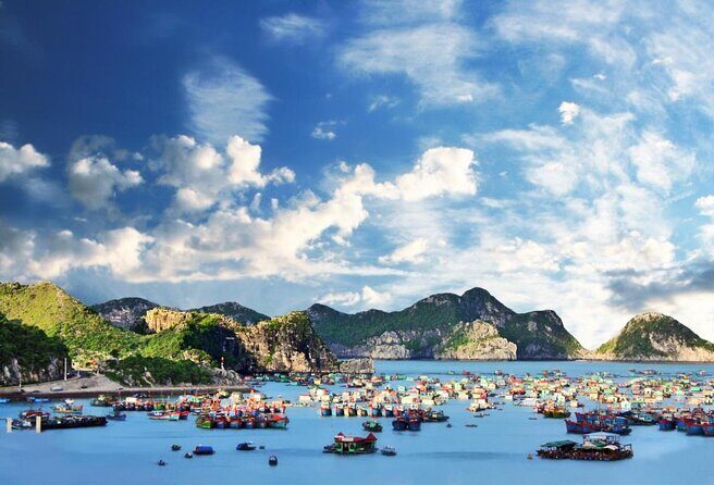Ha Noi - Cat ba island - Lan Ha Bay - Kayaking 1 Day - Key things I’d bookmark before you go