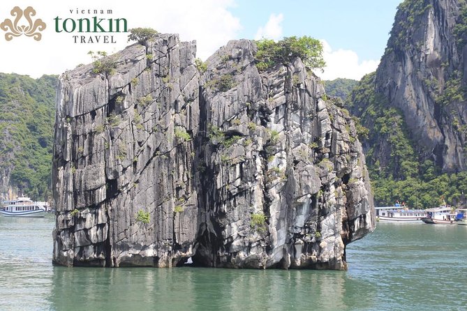 Halong bay Boutique Cruise 2D/1N tour: Kayaking, swimming, Titop island & cave - Key things to know before you go