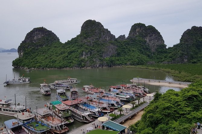 Halong Bay Cruise Tour from Hanoi with Kayak Adventure - Tuan Chau Harbor: Boarding and Lunch Before You Explore