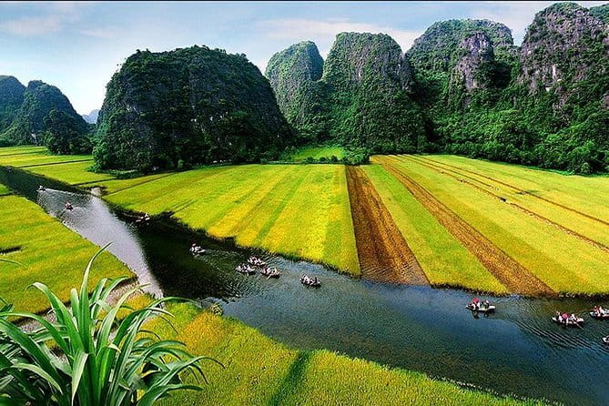 Halong Bay Shore Excursion 6 Hour Private Cruise from Cruise Port - Luon Cave Area: Kayaking or Sampan Ride Through the Water Caves