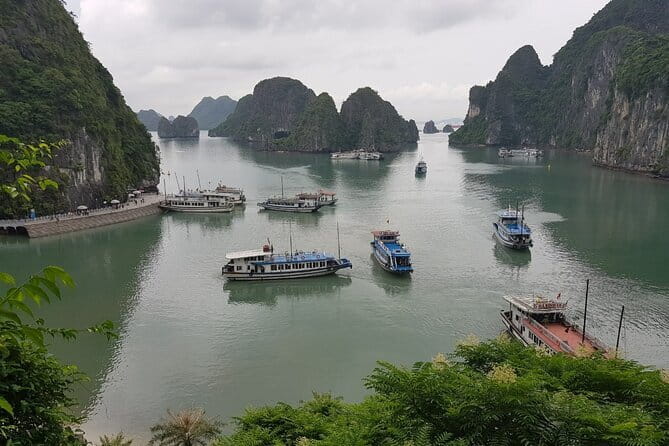 Halong Bay Shore Excursion: Full Day Cruise Tour from Cruise Port - Price and what you get for $79 (and why it feels fair)