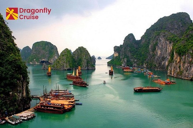 Halong Islands, Cave, Kayak, Bamboo Day Tour w Dragonfly Cruise - Seafood lunch aboard: when food is part of the schedule, not an afterthought