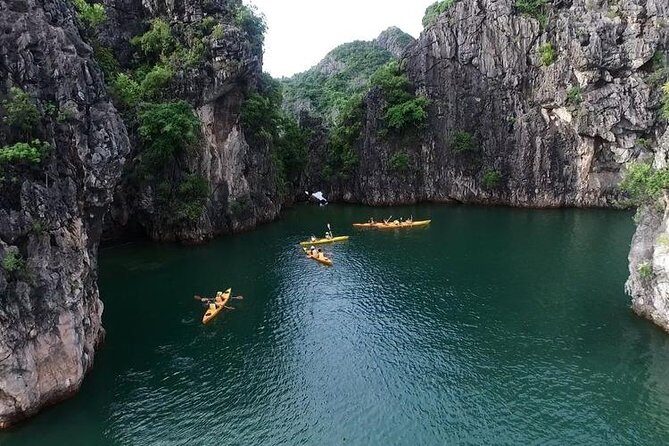 Halong Luxury Cruise Full Day Tour from Hanoi: All Inclusive - Seafood buffet lunch, vegetarian options, and the sunset tea break