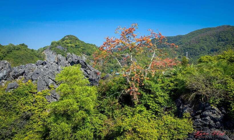 Hanoi: Ha Long Bay & CatBa Island 3-Day with Boutique Cruise - Who This Tour Suits (and Who Might Want Another Option)