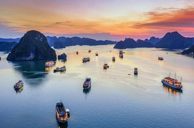 Hanoi - Ha Long Luxury Day Cruise with Kayak & Cave Adventure - Lunch on a cruise: seafood and Vietnamese dishes, included