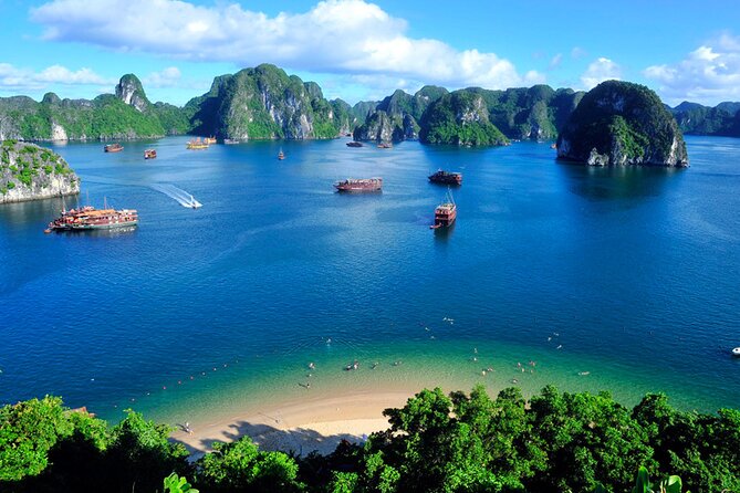 Orchid Cruises Halong Bay 2Day/1Night on 5 Star - Food and Service: Meals Included, Drinks on You
