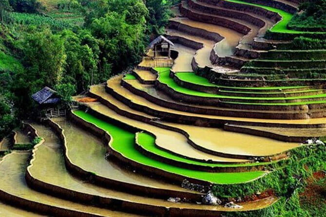 Private Full-Day Tour to Halong Bay from Hanoi - Luon Cave Kayak or Bamboo Boat: The Best Way to Feel the Bay
