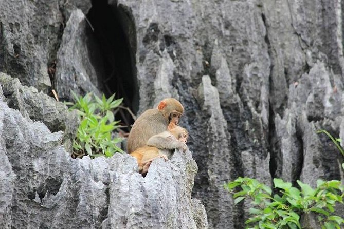 Private Halong Bay In Day - Private Halong Bay: the value of getting there in comfort