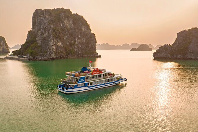 Sea Lion Luxury 5-Star Halong Day Cruise,Buffet Lunch,Shuttle Bus - Cozy Bay Premium: Why this day cruise feels like a smart deal