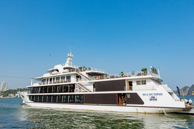 Sea Octopus Cruise - The Top Luxury Day Tour in Halong Bay - Boarding at Sun Group Port: the briefing step that saves time