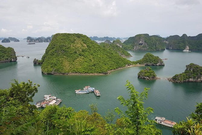 Shore Excursion: Wonderful Heritage Day Cruise at Halong Bay - Quick hits before you go