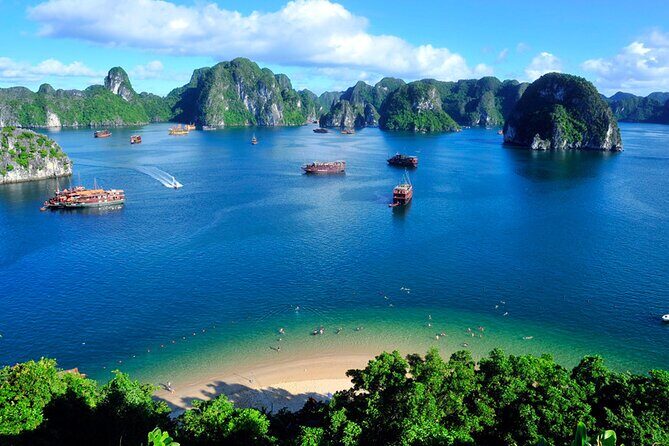 Stellar of the Seas Cruise Halong Bay 2Days 1Night on 5 Star Cruise - Food and Hosts: why the onboard experience often makes or breaks it